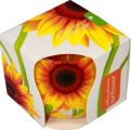 Pl Świeca Szklanka Powl. A\'1 Sunflower Art.739