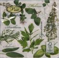 Pl Serwetka Herbal Taste