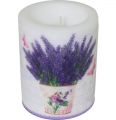 Pl Lampion Flowering Lavender