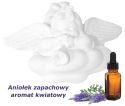 Pl Anioł Aroma Niebieska Symfonia