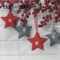 Pl Serwetki Tat Bn Gray-Red Stars